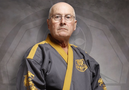 Photo of Grandmaster Michael Niblock Private Lesson