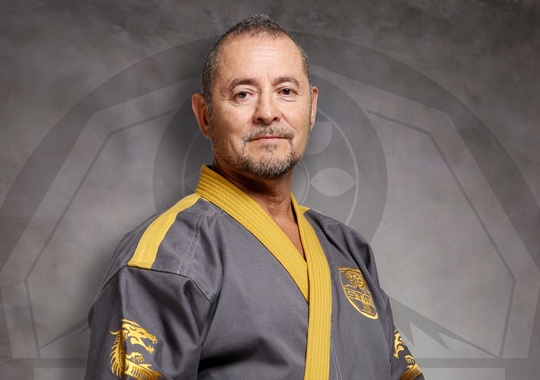 Photo of Train with a Legend: Private Zoom Lesson with Grand Master Longoria